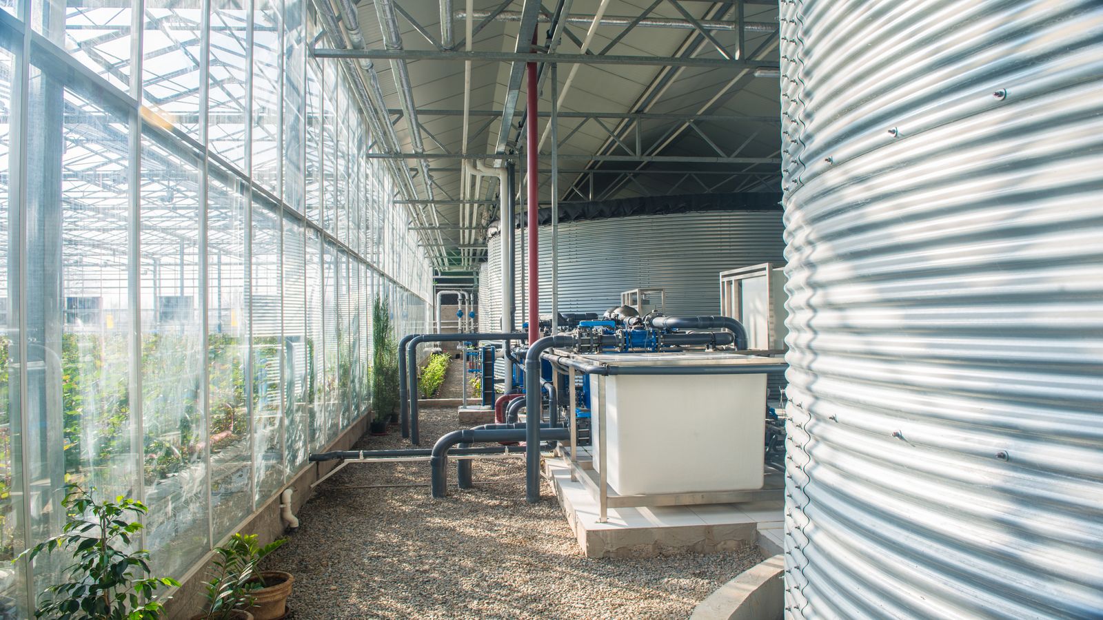 Ventilation ducting inside a greenhouse with heat exchange equipment visible